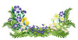 Composition fleurs de printemps et feuillages - pervenche, pâquerettes, marguerite, crocus, violettes, primevères, fougère, feuilles.