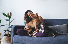 Joyful Fit Woman Having Fun With Adorable Mongrel Dogs Spending Leisure Time In Home Living Room, Cheerful Female Resting At Comfortable Couch With Cute Doggie Pets Enjoying Friendship Indoors