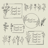 Fototapeta Na sufit - Botanical frame set (hand-drawn flower frame, title, title, dried flower)	