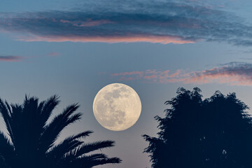 Wall Mural - Full moon of March 2023 in different situations!