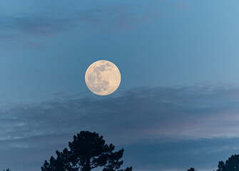 Wall Mural - Full moon of March 2023 in different situations!