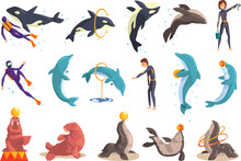 Trainers Training And Feeding Sea Animals In Dolphinarium Or Oceanarium. Dolphins Showing Trick, Jumping Through Hoop In Pool Cartoon Vector Illustration
