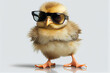 © Schizarty - Funny chicken in sunglasses, Generative AI