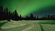 Aurora Light Up The Sky With Green Colors Above A Snowy Forest Scene With A Cross-country Ski Trail Crossing An Open Meadow.
