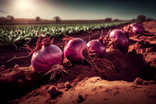 Fresh red onions in the farm fields. Organic food produce. Generative Ai