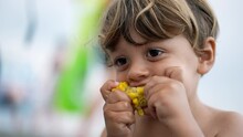One Small Boy Eating Corn Snack. Portrait Face Closeup Child Eats Healthy Food