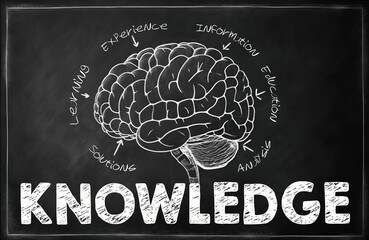Knowledge Chalkboard sign with brain
