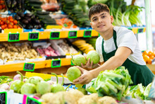 Focused Male Seller Lay Out Ripe Round Bottlegourd Vegetable On Counter In Supermarket