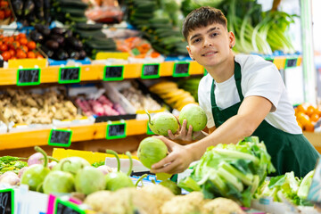 Focused male seller lay out ripe round bottlegourd vegetable on counter in supermarket