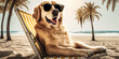 golden retriever wearing sunglasses sitting on a lounge chair on the beach under a palm tree