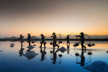 The Women Are Working On Salt Field At Dawn. Salt Field Hon Khoi In Nha Trang, Viet Nam. Workers Transporting Salt From The Fields Hon Khoi, VN