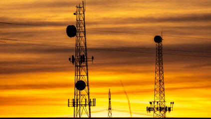 Poster - crane at sunset