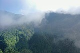 Fototapeta Natura - Panoramic view of a rainforest valley on Flores surrounded by a dense layer of haze clouds.