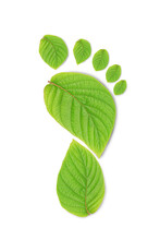 Green Leaf Growing Footprints, Co2 Symbol Isolated On White Background. Reduce CO2 Emission Concept.Clean And Friendly Environment Without Carbon Dioxide Emissions.