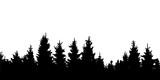 Fototapeta Las - pine jungle silhouette