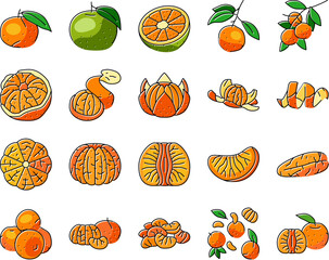 Canvas Print - mandarin clementine orange fruit icons set vector