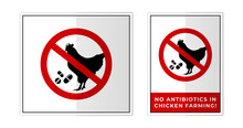 No Antibiotics In Chicken Farming Sign Label Symbol Icon Vector Illustration