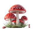 fly agaric mushrooms, transparent background png