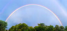 Panoramic View Double Rainbow Over Trees Foliage