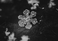 Close Up Macro Photo Of Snowflake