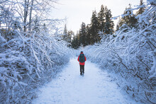 Man Walking Through A Cold Icy Path