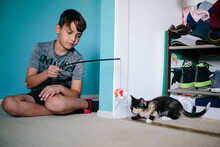Boy Uses A Wand Cat Toy To Play With Kitten
