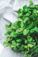 Wall Mural - Fresh mint on white table background. Medicinal and culinary plant, close-up, top view