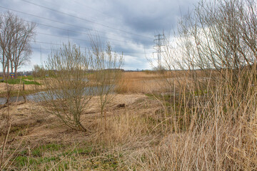 Wall Mural - brook in landscape early spring