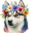 Cute Siberian Husky Dog Flowers Watercolor Illustration. Generative AI