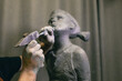 © primipil - Man sculptor creates sculpt bust human woman sculpture with hammer. Statue craft creation workshop.