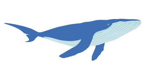 Wall Mural - Vector Whale Flat Silhouette Illustration Isolated On A White Background.