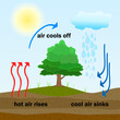 Convection process diagram. Warm air rises and cool air sinks. Hot and cooler air masses.Cloud formation process.Thermal warm and cold air circulation diagram.Science poster design.Vector illustration