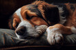 © marcin jucha - Cute adorable dog sleep on the sofa or couch at home. Generative AI
