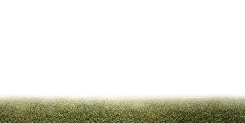 Soccer green grass field isolated on white background. Soccer