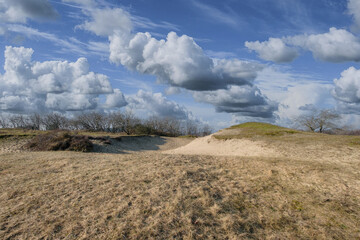 Wall Mural - Nature reserve Amsterdamse Waterleidingduinen, Noord-Holland province, The Netherlands