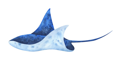 Isolated illustration on white background blue sea stingray. Painted in watercolor.