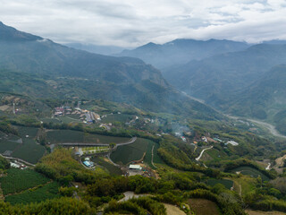 Poster - Drone fly over the tea field on mountain in Nantou of Taiwan