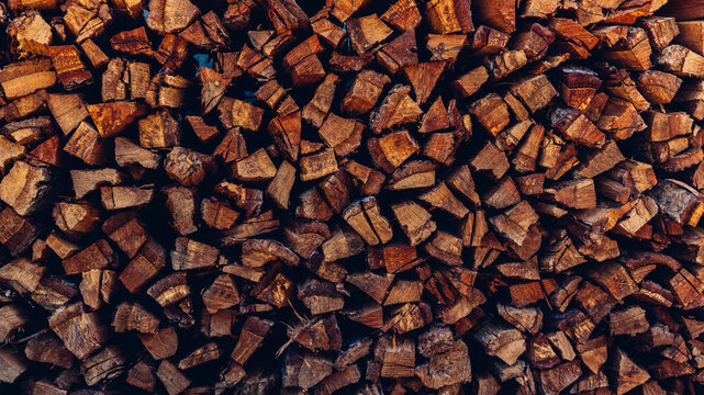 pile of wood logs storage for industry. wall of stacked wood logs as background. a pile of natural w