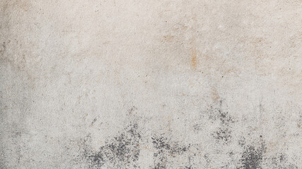 Wall Mural - Texture of old concrete wall. Abstract white grunge cement wall texture background.  Realistic wall texture.