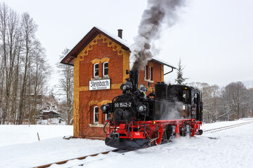 Wall Mural - Pressnitztalbahn steam train locomotive railway in winter in Steinbach, Germany