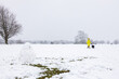 A woman and her dog walk past a snowman on a snow covered field