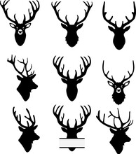 Vector Deer Head With Horns