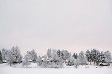 Beautiful Winter Scenery Around Boden Lake, Around Arctic Circle. Frozen Trees And Snowy Buildings On Coast Of Lake. Sweden, Swedish Lapland