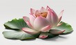  a pink lotus flower with green leaves on a white background.  generative ai