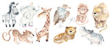 Fototapeta Dziecięca - Safari animals for kids. Big set. Cute african animals isolated on white background. Watercolor hand drawn illustration.