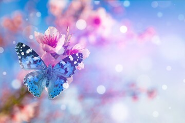 Poster - Big butterfly on fresh aroma flower