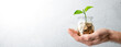 Hand Holding Small Coin Jar With Plant Growing From It Against Soft Grey Background - Investing And Business Success Concept	
