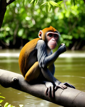 Portrait Of A Monkey Sitting On The Branch Of A Tree Infront Of A River.
