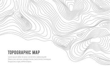 Topographic map, grid, texture, relief contour of terrain. Vector pattern background with mountains and flat land wavy line contours. Abstract monochrome topographic map, topography, cartography theme