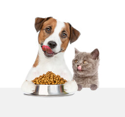 Poster - Licking Jack russell terrier puppy holding bowl of dry foodabove empty white banner near tiny kitten. isolated on white background
